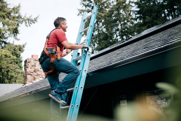 Best Skylight Installation and Repair  in Bridgeport, NE