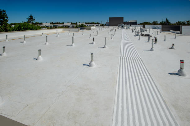Roof Coating Services in Bridgeport, NE